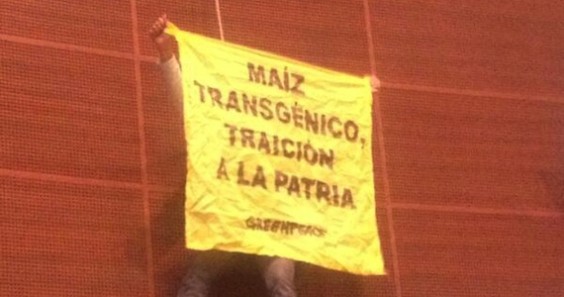 Activista protesta en el Senado de la República. Foto: Especial