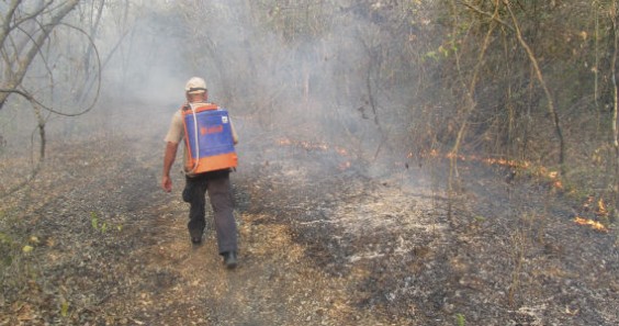 Incendio en Ciudad Valles, SLP. Foto: Cuartoscuro 