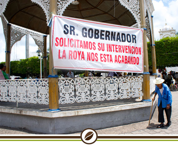 cafe_gobernador