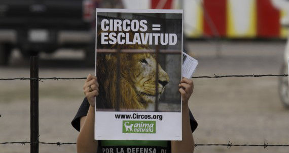 monterrey_protesta_circo-3_2-e1396579820278