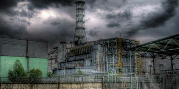 Cuando ocurrió el accidente nuclear en Chernobil pocos esperaban que la vida animal siguiera dándose en la zona. Foto: EFE