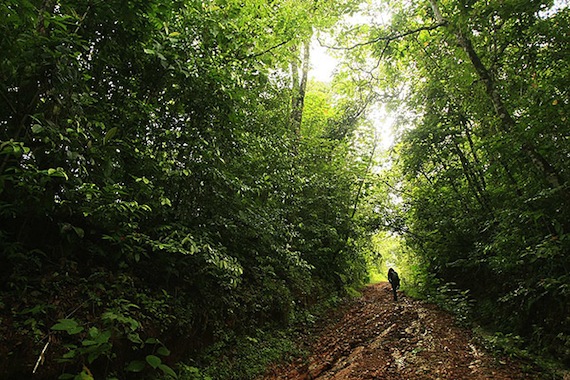 Costa Rica tiene una gran riqueza natural y ahora buscan quedar libres de zoológicos. Foto: EFE