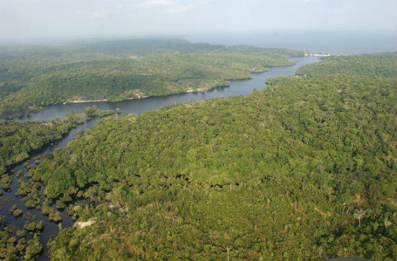 Países Del Caribe Centroamérica Y Diversas áreas Del Amazonas Se Benefician De Este Proyecto Foto Efe