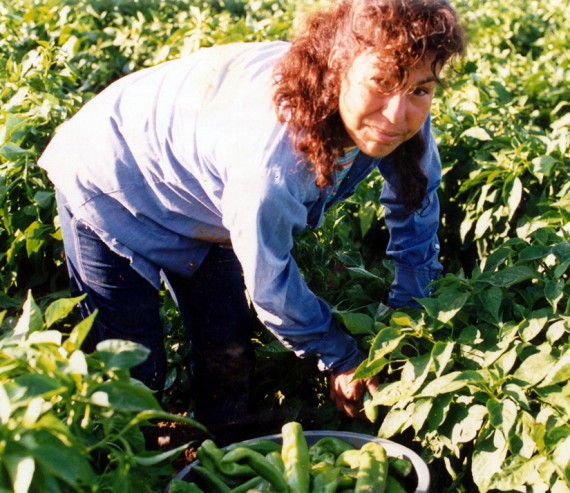 Elisa Piscando Chile