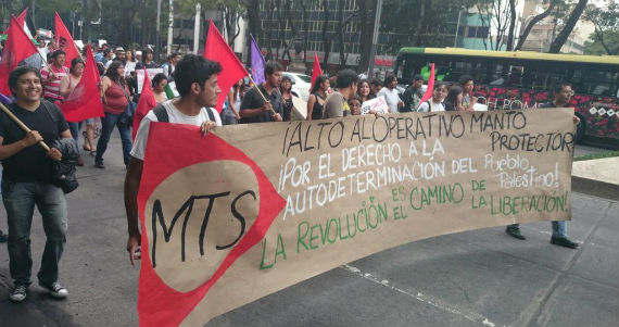 Los manifestantes portaron pancartas y banderas expresando su rechazo a la operación de Israel. Foto: Twitter @Coordinadora1DM  