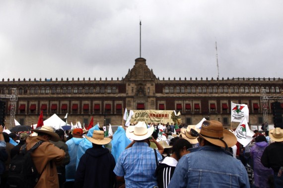 En un Zócalo lleno, los campesinos hicieron un llamado a la sociedad. Foto: Francisco Cañedo, SinEmbargo