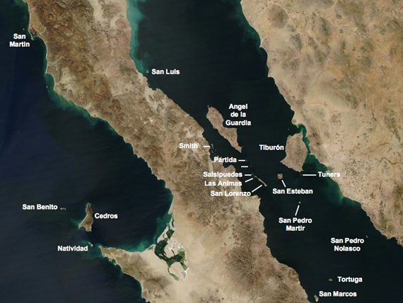 Las islas y costas protegidas