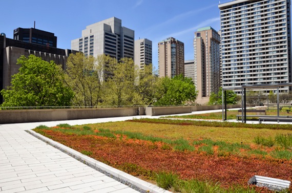 Las superficies verdes en la parte alta de los edificios son una alternativa para devolver el aire limpio a las urbes. Foto: Shutterstock