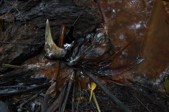 Derrame de gasolina en Tierra Blanca, Veracruz. Foto: Cuartoscuro 