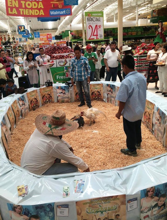 Foto: Facebook CODEBA-Comité Defensor del Bienestar Animal