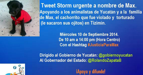 Justiciaparamax