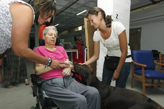 En la actualidad, no existe una sola prueba que confirme la enfermedad. Foto: Efe.