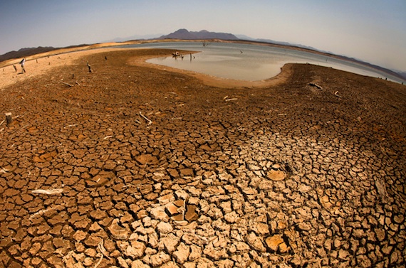 Debido a la contaminación del medio ambiente y al cambio climático, muchas presas muestran cambios significativos que provocan la muerte de peces y otros animales. Foto: Cuartoscuro. 