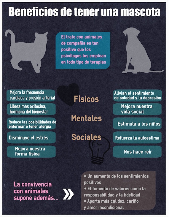 petsbeneficios