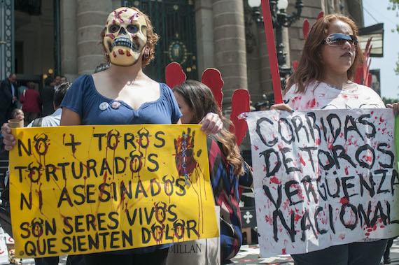 Un Grupo De Manifestantes Exigió Afuera De La Asamblea Legislativa Del Distrito Federal La Prohibición De La Corridas De Toros En La Capital Foto Cuartoscuro