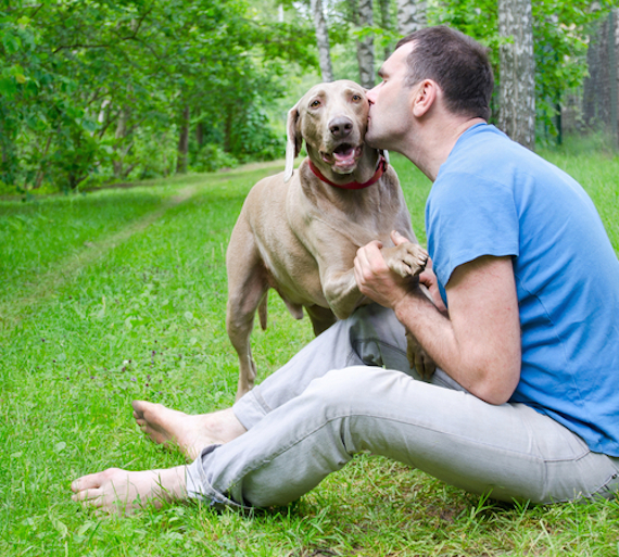 Cuando Las Mascotas Son Diagnosticadas Con Este Mal Lo Importante Es Pensar a Futuro De Forma Que No Afecte La Calidad De Vida De Ellos Foto Shutterstock