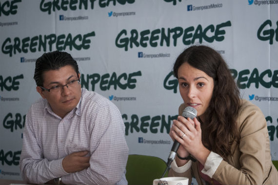 En las reformas al reglamento de la Ley General del Equilibrio Ecológico y la Protección al Ambiente en materia de Evaluación de Impacto Ambiental, se avala que se puedan realizar aprovechamientos forestales en Áreas Naturales Protegidas previa manifestación de impacto ambiental: Greenpeace.  Foto: Cuartoscuro