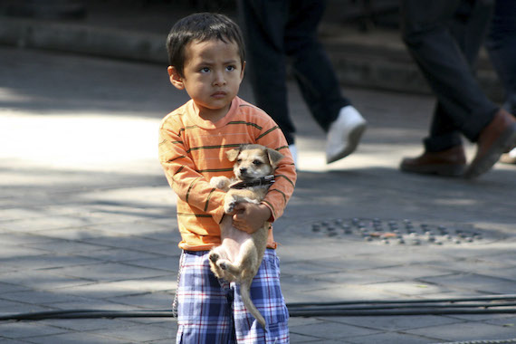 La mayoría de los niños quieren a un animal para poder jugar, pero también se debe crear consciencia de la tenencia de uno. Foto: Cuartoscuro/Archivo.