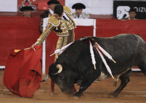 Aunque existen ya numerosas legislaciones que buscan la protección y el bienestar animal en el país, todavía faltan 29 estados y el Distrito Federal para que prohiban las prácticas de tauromaquia. Foto: Cuartoscuro/Archivo.