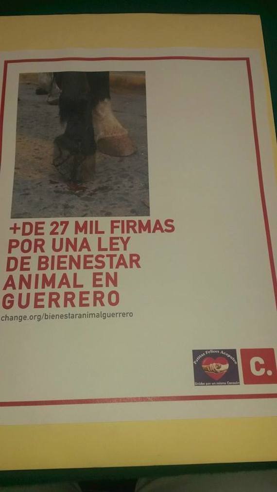 La fundación Patitas Felices de Acapulco hizo entrega de la petición de la publicación inmediata de la Ley de Bienestar Animal en nombre de los más de 27 mil firmantes. Foto: Especial.