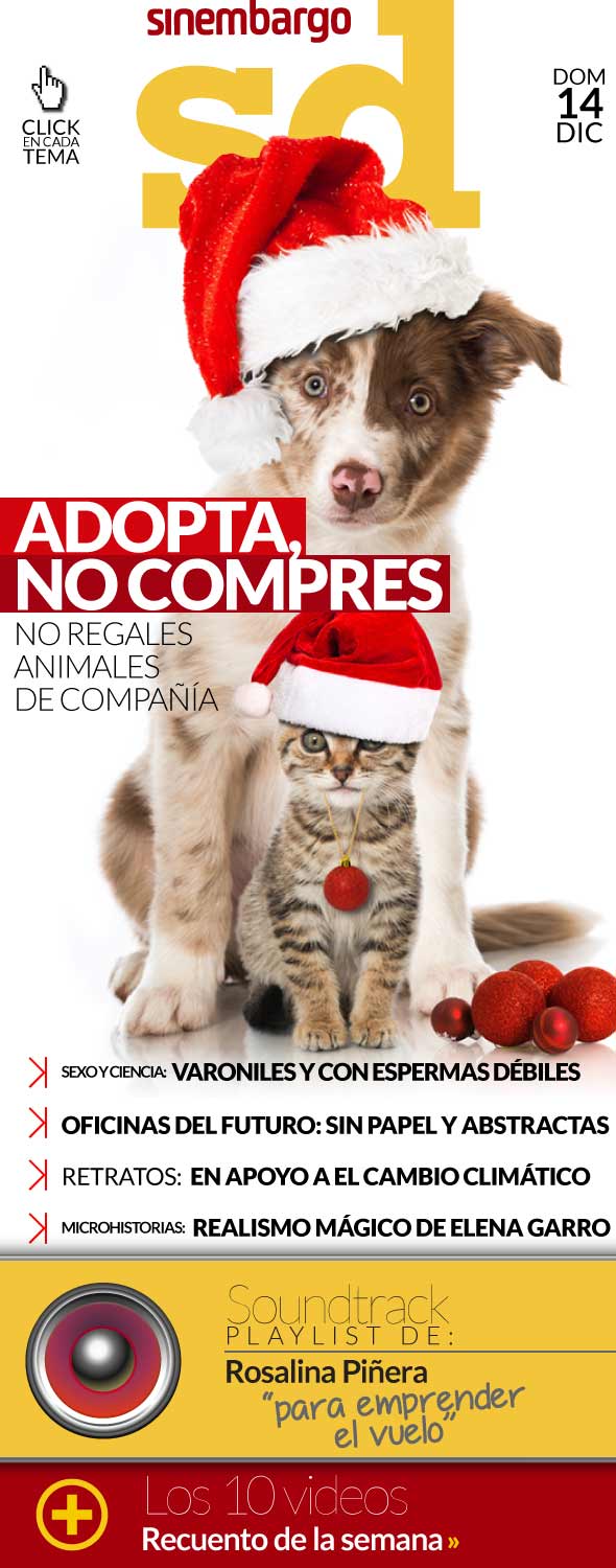 PORTADA_14_DICIEMBRE