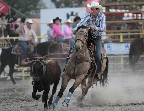 Fotoreportaje de rodeo