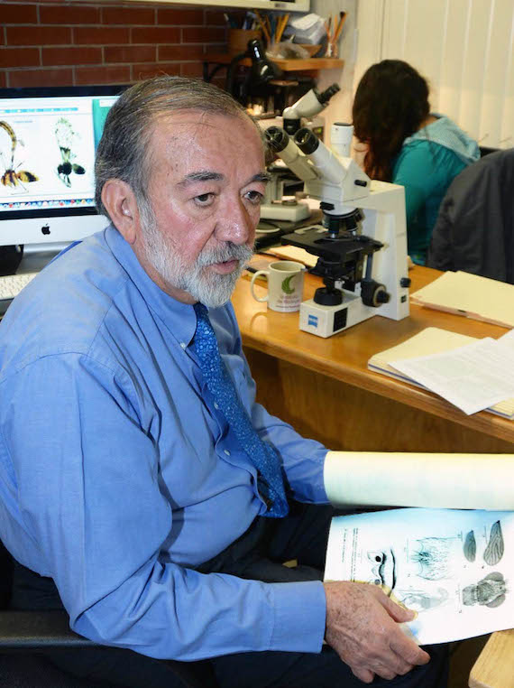 El resultado de su dedicación está a la vista. Hasta el segundo semestre de 2014 había descrito 464 especies, pero el número va en aumento. Foto: UNAM.