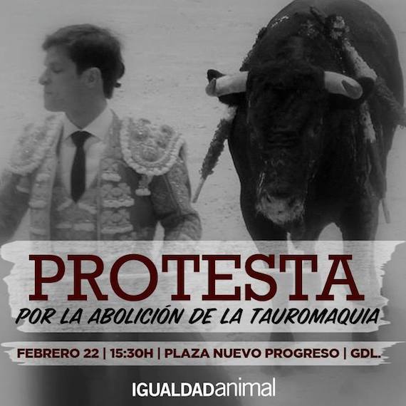 La organización Igualdad Animal México explica que esta protesta está orientada a animar a la sociedad a que reflexione sobre la enorme injusticia que se comete contra los animales y a propiciar un contexto en el cual se cuestione de forma clara el enorme sufrimiento al que se somete a los animales. Foto: Igualdad Animal