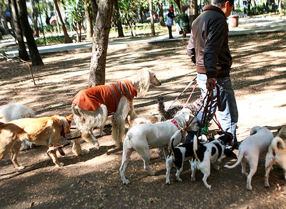 Foto: Francisco Cañedo / Sinembargo