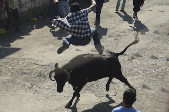 Vaquillada_Teocelo_derechos_animales-4