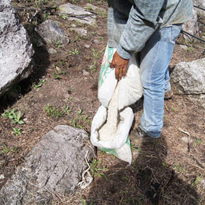 Los campesinos de Guerrero emplean en sus campos de amapola las mismas vitaminas que se ocupan en el cultivo de jitomate, pero nunca siembran esa fruta roja. El uso de fertilizantes y químicos para la cosecha de la goma es una enseñanza de los narcos de Sinaloa, principal productor nacional de jitomate.