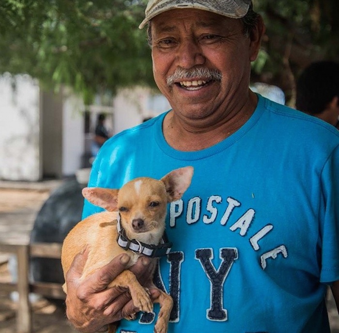 Laly dio a luz a dos cachorros, pero días después tuvo una infección. Compassion Without Borders salvó su vida con una cirugía de último minuto. Todo salió bien y se reunió con su familia y sus crías. Foto: Instagram. 