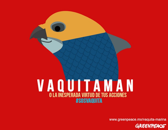 Las autoridades propusieron un acuerdo que prohibiría, por dos años, la pesca que amenaza la supervivencia de esta especie en 5 mil kilómetros cuadrados en su hábitat y cuya publicación se prevé el 1 de marzo. Imagen Greenpeace.