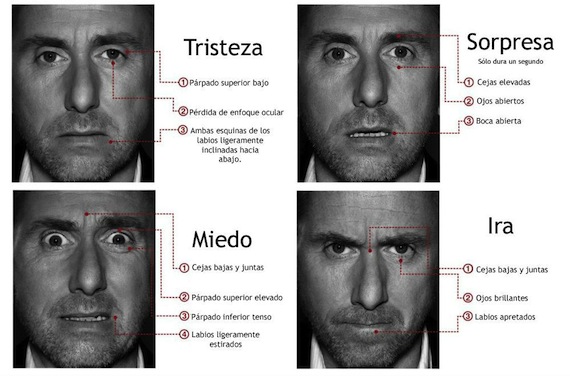 Un Ejemplo De Interpretación De Las Expresiones Faciales Son Las Emociones Básicas Foto Ticbeat