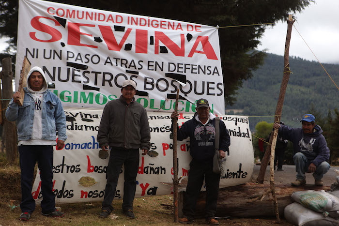 Uruguay se posicionó como el primer país sin registrar cambios en su cobertura de árboles y bosques dentro de su territorio, México en el lugar 94, seguido de Costa Rica. Foto: Cuartoscuro.