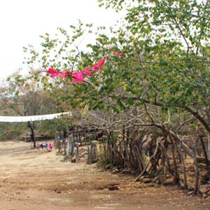 El Sandoval, municipio de Apatzinga?n, una de las comunidades ma?s marginadas de la demarcacio?n y el estado. Foto Dalia Marti?nez SinEmbargo