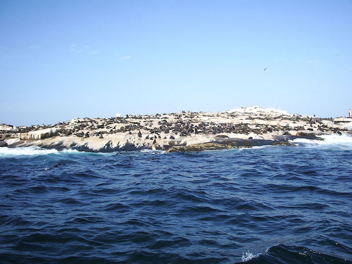 En algún momento de la historia, los humanos intentaron habitar en esta isla, pero en la actualidad únicamente es ocupada por las focas. Foto: Especial. 