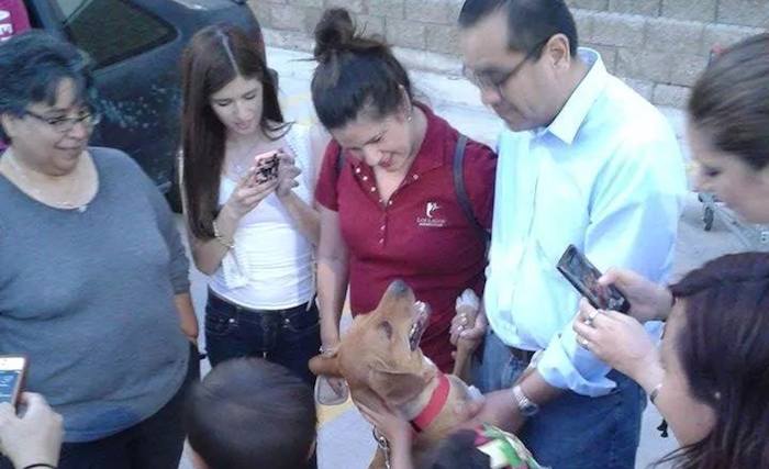 Boby se volvió bastante popular entre la comunidad por lo que varias personas acudieron a la despedida del perro con su nueva familia. Foto: Cortesía-Dalia Gámez.