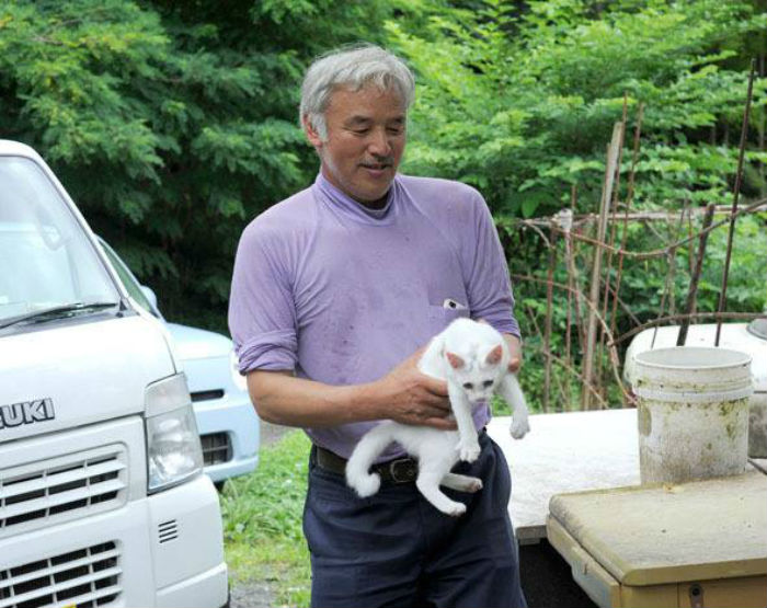 Masumura cuida a cada animal que vive ahí con él. Nombra a todos los ejemplares y los lleva al veterinario. Algunos gatos tenían problemas en los ojos ocasionados por la "gripe" que les da a los felinos, por lo que les suministra medicina y gotas para sus ojos. Foto: Facebook Naoto Matsumura