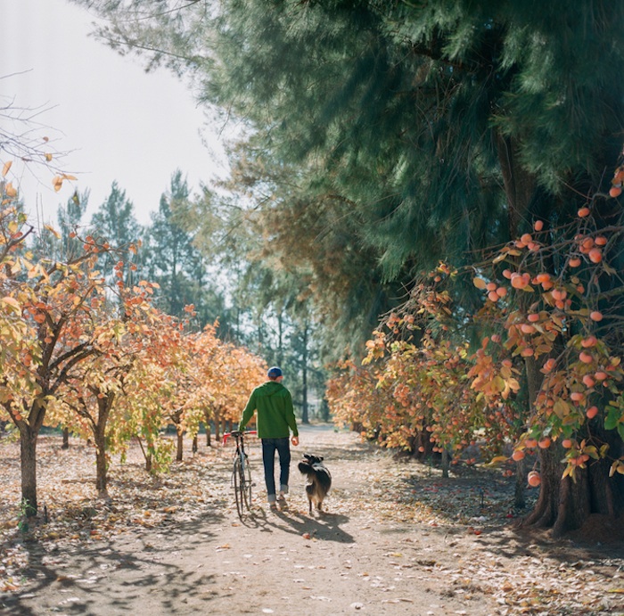 "Si a base de nuestro trabajo podemos inspirar a que la gente quiera formar un vínculo más fuerte con sus animales de compañía, ese sería el sueño ideal". Foto:  The Photolab Pet Photography.