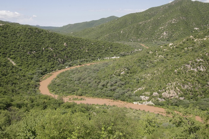 La Profepa dijo que el área a remediar tras el derrame de cobre acidulado es en una primera etapa de 28 mil 183 m2. Foto: Cuartoscuro.