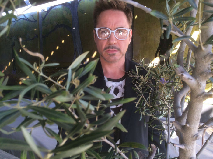 Cuando Cumplió Años El Pasado De Abril Colgó Esta Foto En Su Muro De Facebook Y Le Agradeció a La madre Naturaleza Ganó Mil Likes Foto Facebook De Robert Downey Junior