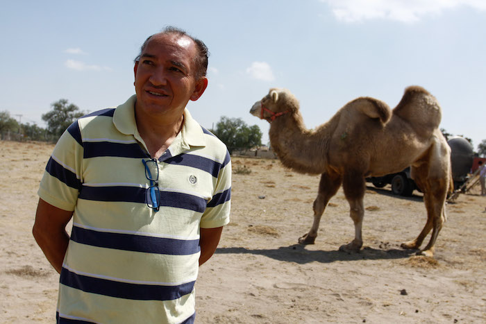 En la imagen, Chuy Fuentes quien ha sido entrenador de dromedarios, camellos, chimpancés, entre otros animales en distintos circos a lo largo de su carrera ha quedado desempleado con la entrada en vigor de la nueva ley. Foto: Cuartoscuro/Archivo.