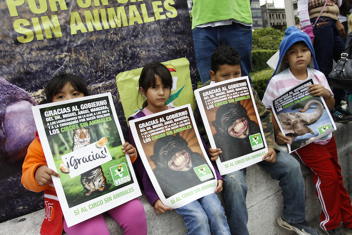 Personas afines al Partido Verde realizaron en 2014  una manifestación de de agradecimiento al los circos sin animales. Foto: Cuartoscuro/Archivo.