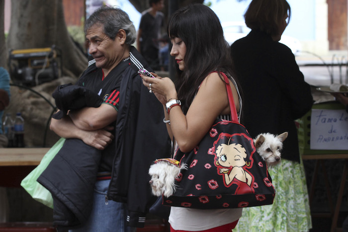 Decenas de mascotas, desde pericos hasta ganzos fueron bendecidos este domingo, día de San Ramón Nonato, quien durante su vida defendió y busco el bienestar de los animales. La iglesia de Nuestra Señora de la Merced es el punto de reunión donde tradicionalmente el párroco sale a bendecir a los animales, perros, gatos aves y tortugas, son algunas de las especies que llevan. Foto: Cuartoscuro.