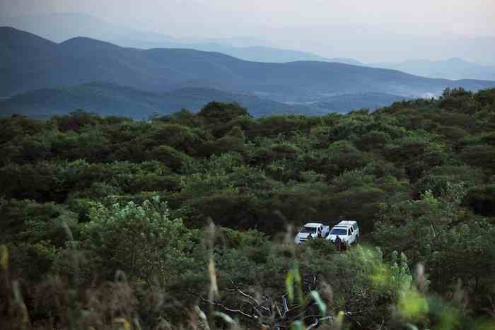 Las autoridades federales han recuperado 75 cuerpos de las fosas clandestinas cercanas a la comunidad La Joya. Foto: Cuartoscuro