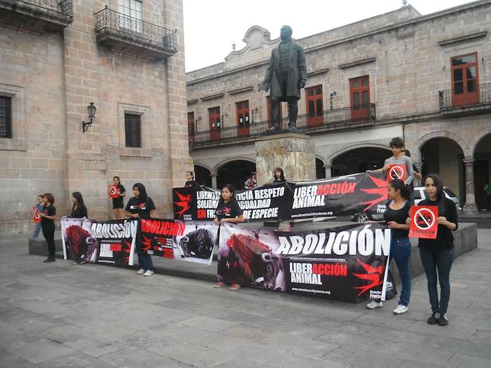 "Luego al ver el documental “Farm to Fridge” me di cuenta que no comer carne era insuficiente si no quería dañar a otros animales", reveló la activista de Morelia, Michoacán. 