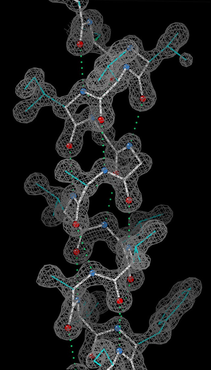 Los modelos obtenidos en biología molecular suelen consistir en líneas, representando los enlaces atómicos, o puntos, representando átomos individuales. Foto: Wikimedia commons