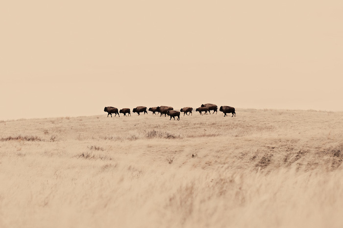 "Tomaba fotografías para estas revistas, pero no podría nunca escapar este constante sentimiento de que tenía un llamado en mis raíces". Foto: Troy Moth.