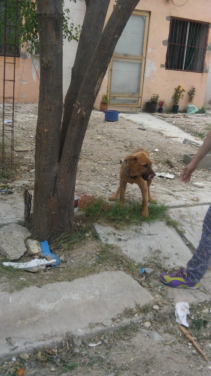 Foto: Fundación Milo, Cortesía.